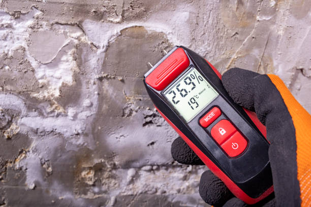 Best Commercial Mold Remediation in Thornport, OH