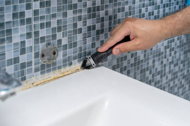 Best Post-Flood Mold Remediation in Thornport, OH